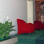 Seven Tirana